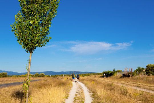 Camino de Santiago (Spain) - Pilgrims along the way of St.James, in the spanish meseta