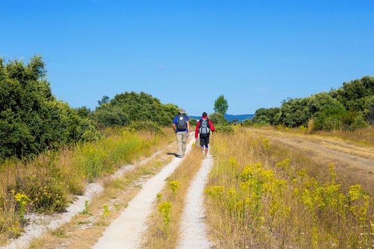 Camino de Santiago (Spain) - Pilgrims walking along the way of St.James, in the spanish meseta
