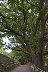 sentiero in montagna © Paolo Marchetti