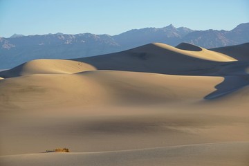 Fototapeta na wymiar Wüste im Death Valley | USA | Kalifornien