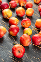 Fruit paradise apple