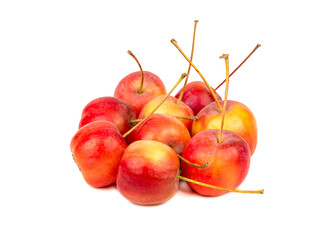 Pile paradise apple