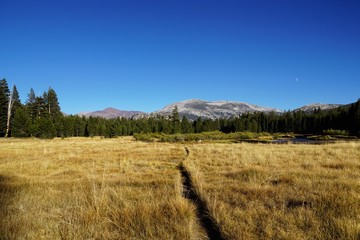 Yosemite Nationalpark - Kalifornien