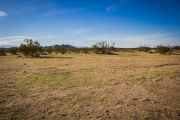Desert Blue Sky – 2