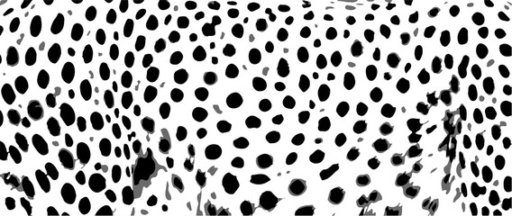 texture pattern snow leopard jaguar white leopard cheetah