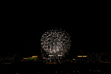 割物 菊 #2 東京の夜景に打ち上がる花火