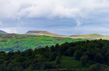 Beautiful colorful forest and the Luss Hills near Loch Lomond in Scotland, UK