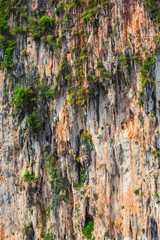 Beautiful texture for background