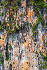 Beautiful texture for background