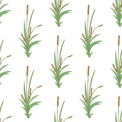  Sedge, reed. Background, wallpaper, seamless. Sketch