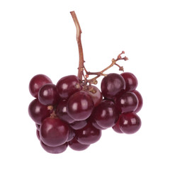 Fresh fruit isolated path