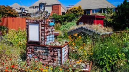 Poster Kleine tuin in Christchurch, Zuidereiland, Nieuw-Zeeland © Joppi