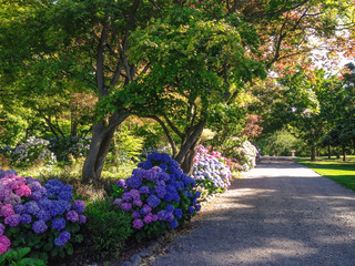 Botanic Garden, Christchurch, South Island, New Zealand