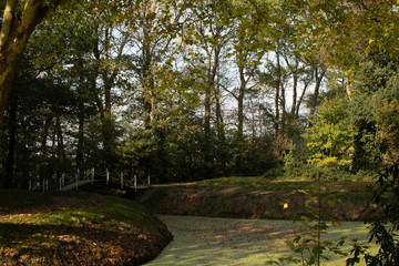 Bridge over a pond