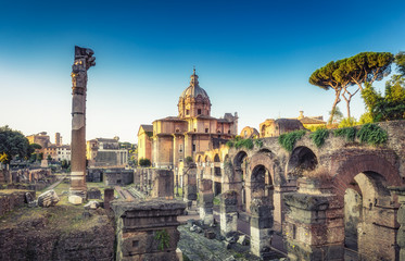 Fototapeta na wymiar View on the Roman Forum in Rome, Italy. Scenic travel background.