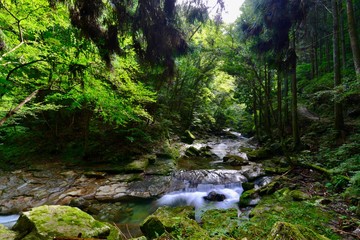 日本の滝と湖と神社のある霊場