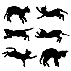 Cat silhouette isolated on white background With clipping path
