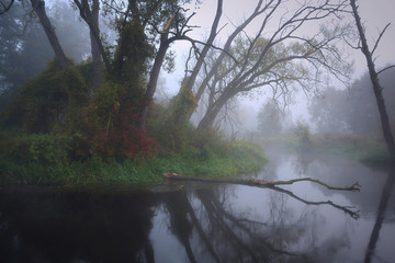 Kolorowa wyspa © Tomek Kiecana