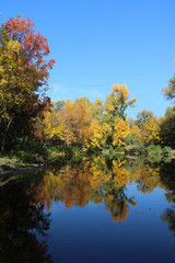The sky and trees are reflected in the water