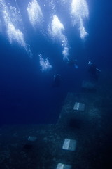Wreck Zenobia, Cyprus