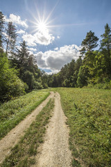 Landschaft im Herbst