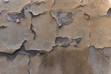multicolored peeling plaster of the building - detail