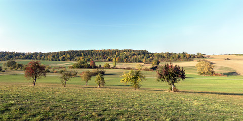 Fototapeta na wymiar Landschaft Rutesheim