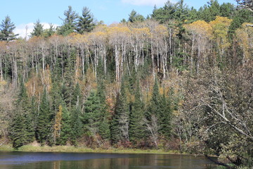 Fall Colors, autumn, trees, water, pond, gold, green, nature, woods, sky, blue