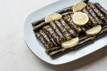 Stuffed Grape leaves with olive oil and Lemon / Zeytinyagli Yaprak Sarma Dolma