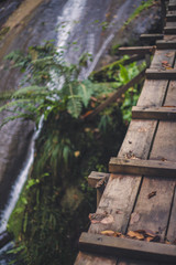 Obraz premium steps in the forest