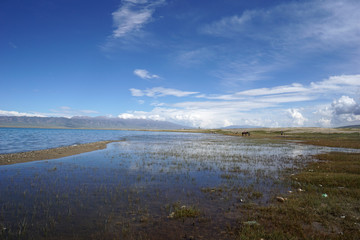 Fototapeta na wymiar Landscape of qinghai lake in China