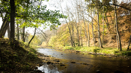 Trees and a River in Autumn on a sunny and cloudy day