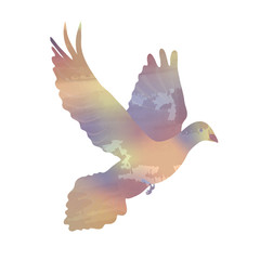 Christian illustration. Modern watercolor Holy Spirit, Pentecost or Confirmation symbol with a dove.