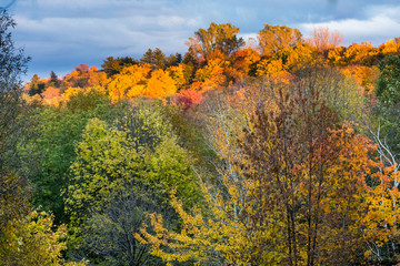 Fototapeta premium Fall colors, Quebec, Canada