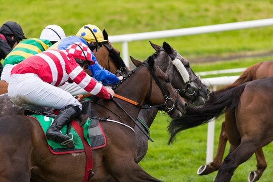 Close-up on horses and jockeys racing
