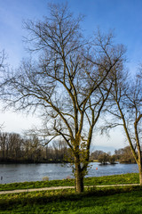 Beautiful view near Deggendorf-Bavaria-Germany