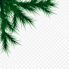 Vector christmas tree branches on white background. Pine tree decoration template. Christmas frame illustration, space for text.