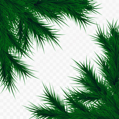 Vector christmas tree branches on white background. Pine tree decoration template. Christmas frame illustration, space for text.
