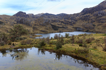 Fototapeta na wymiar panoramic landscape of cajas national park, ecuador