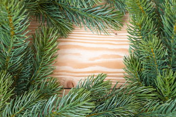Pine tree branch  Christmas background, Happy New Year and Xmas