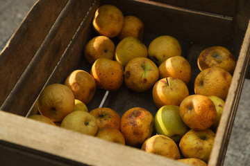Fresh apples in wooden boxes on sale at the city market