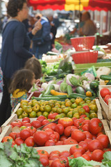 Tomatoes in boxes on sale at the french city market