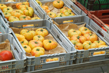 Tomatoes in boxes on sale at the french city market