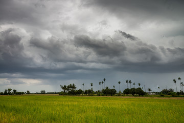 Rainstorm dark clouds is coming over countryside landscape, Thailand
