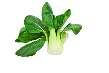 Fresh Bok choy or pak choi on white background.