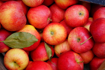 Crate of fresh red and yellow Gala apples at a farmers market