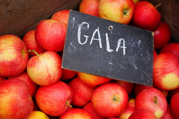 Crate of fresh red and yellow Gala apples at a farmers market