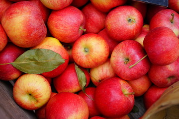 Crate of fresh red and yellow Gala apples at a farmers market