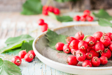 Autumn still life. Harvest of hawthorn berries with leaves on a plate on a rustic background