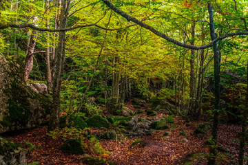 Otoño en Pirineos, Val de Aran. España